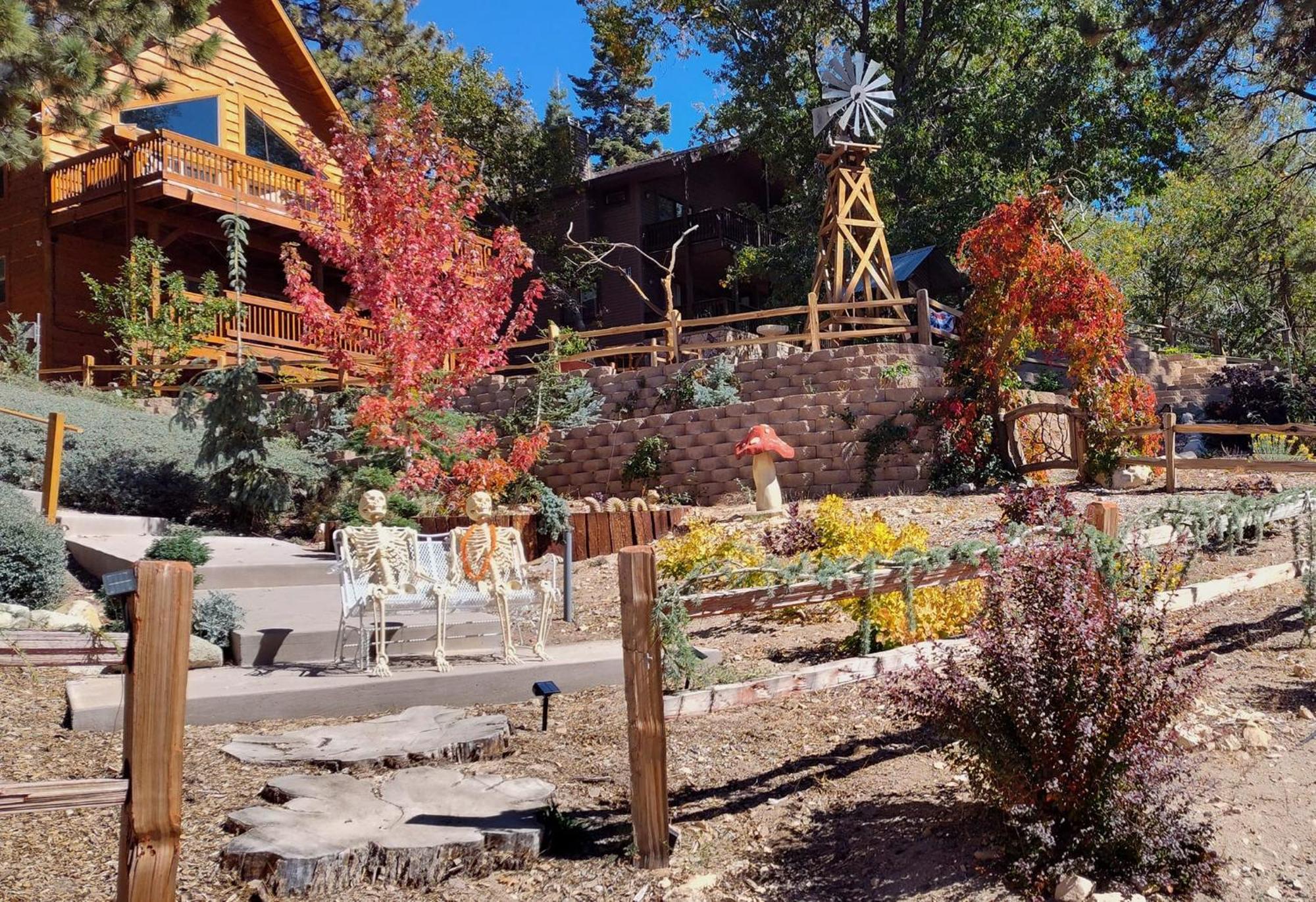 Snow Bunny Cottage, Pets Welcomed! Green Valley Lake Экстерьер фото
