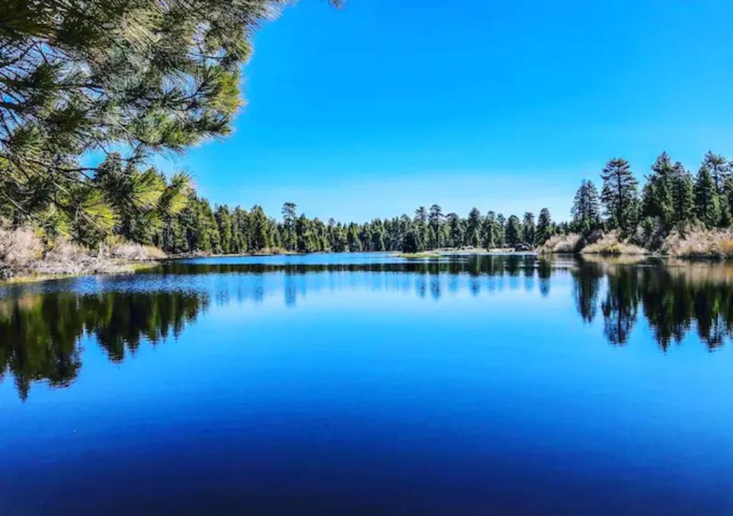 Snow Bunny Cottage, Pets Welcomed! Green Valley Lake Экстерьер фото