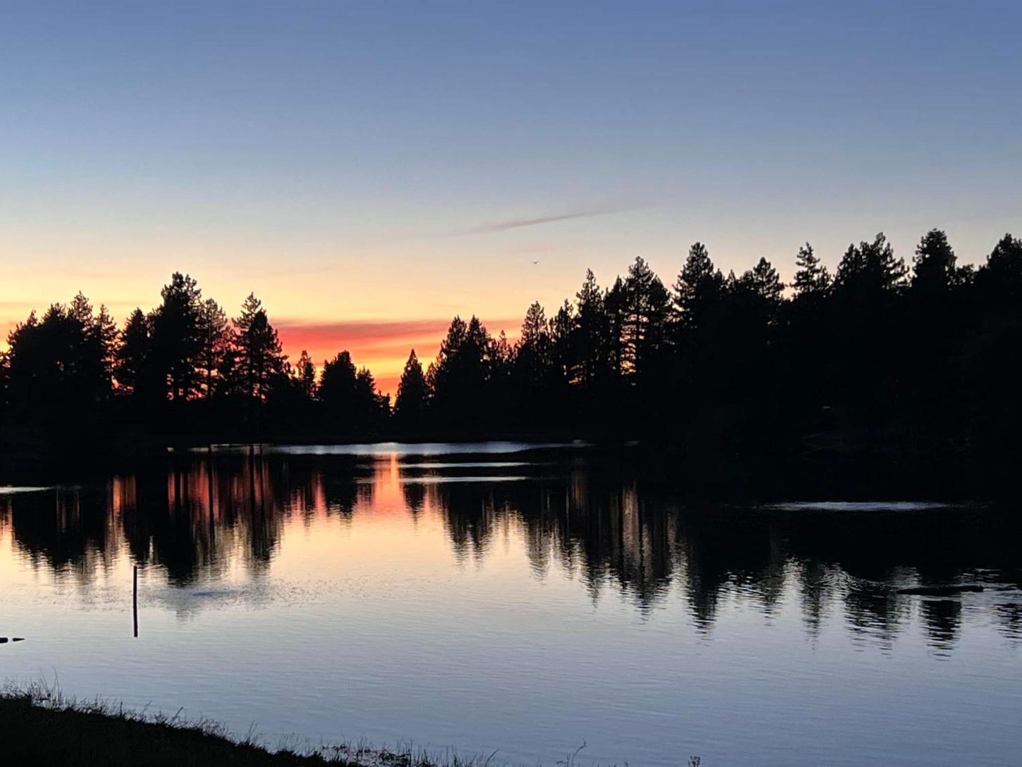 Snow Bunny Cottage, Pets Welcomed! Green Valley Lake Экстерьер фото