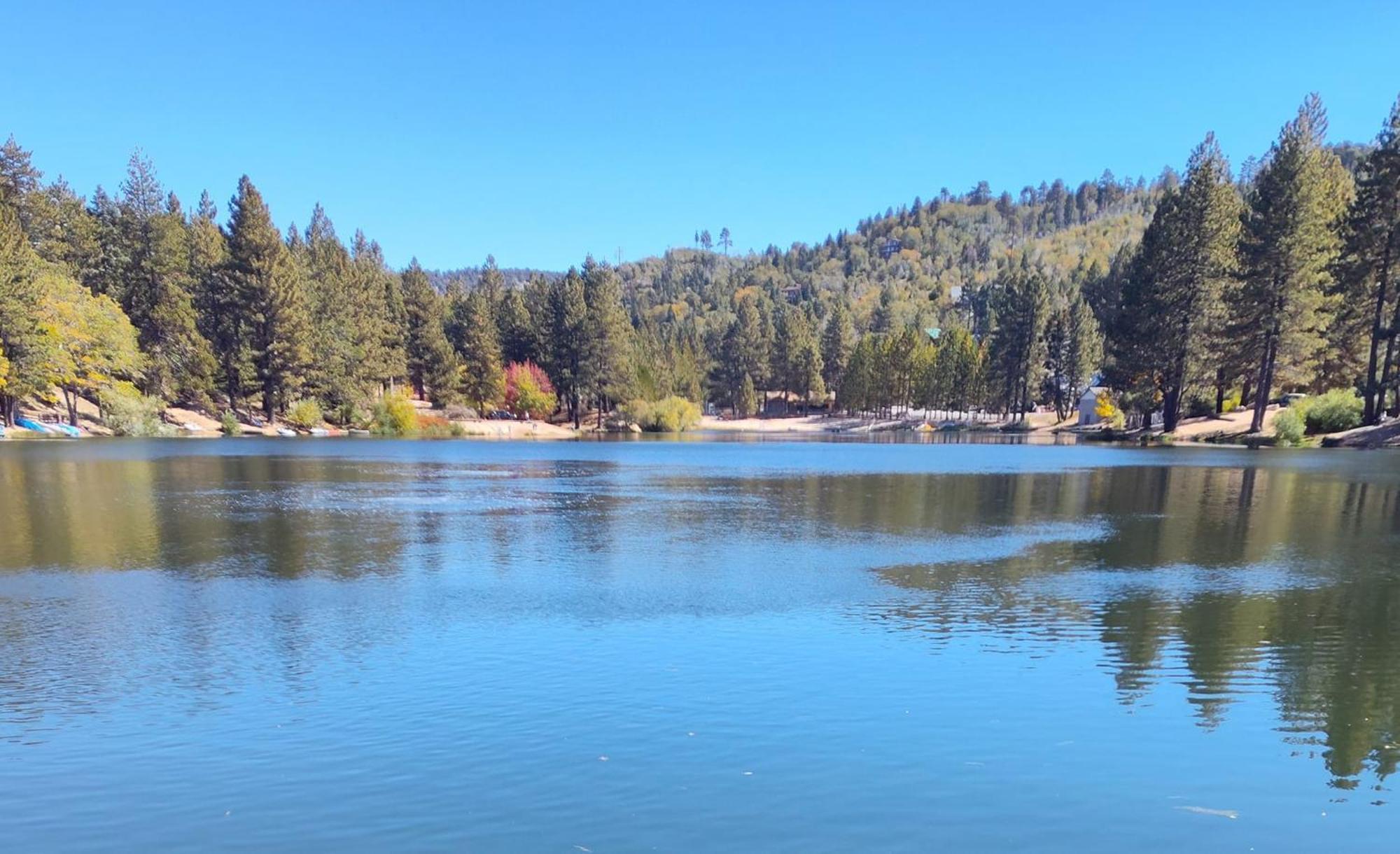 Snow Bunny Cottage, Pets Welcomed! Green Valley Lake Экстерьер фото