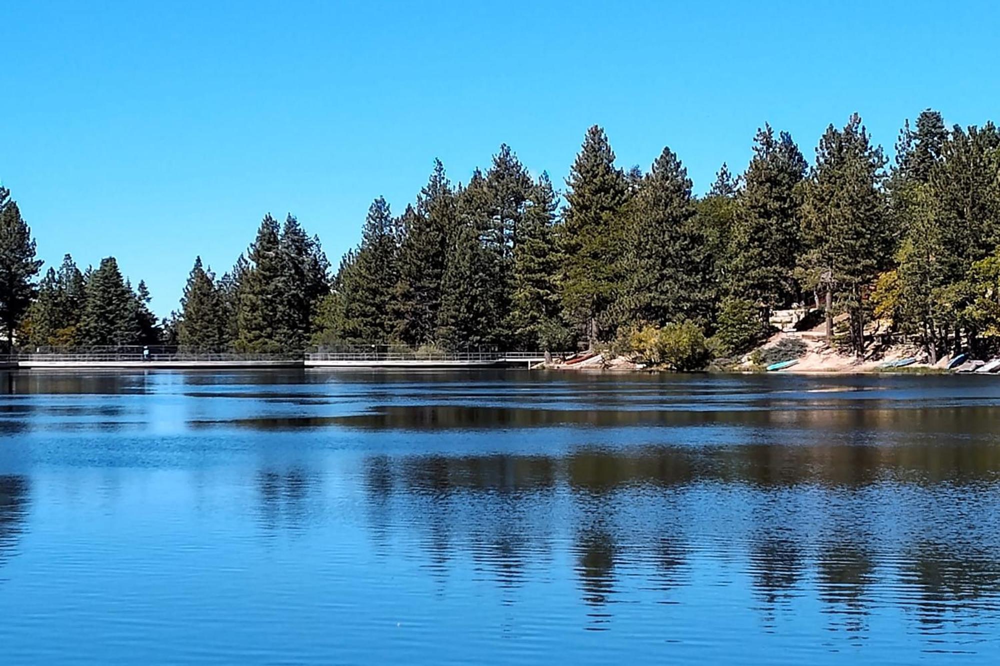 Snow Bunny Cottage, Pets Welcomed! Green Valley Lake Экстерьер фото