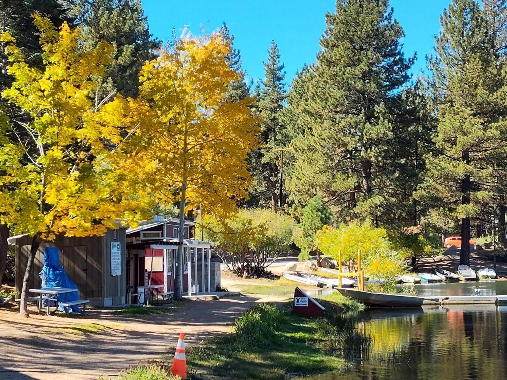Snow Bunny Cottage, Pets Welcomed! Green Valley Lake Экстерьер фото